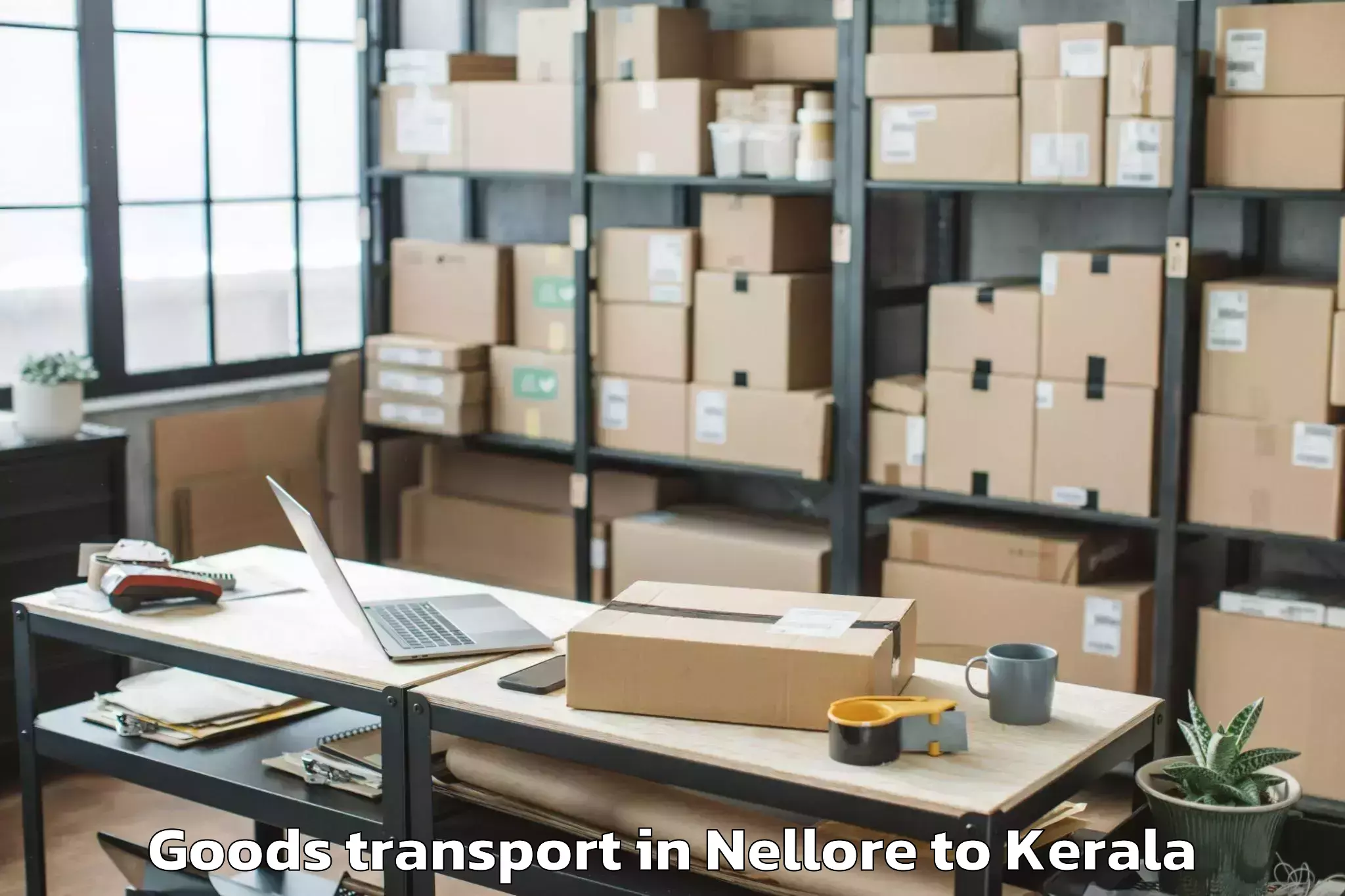 Professional Nellore to Rp Mall Kollam Goods Transport